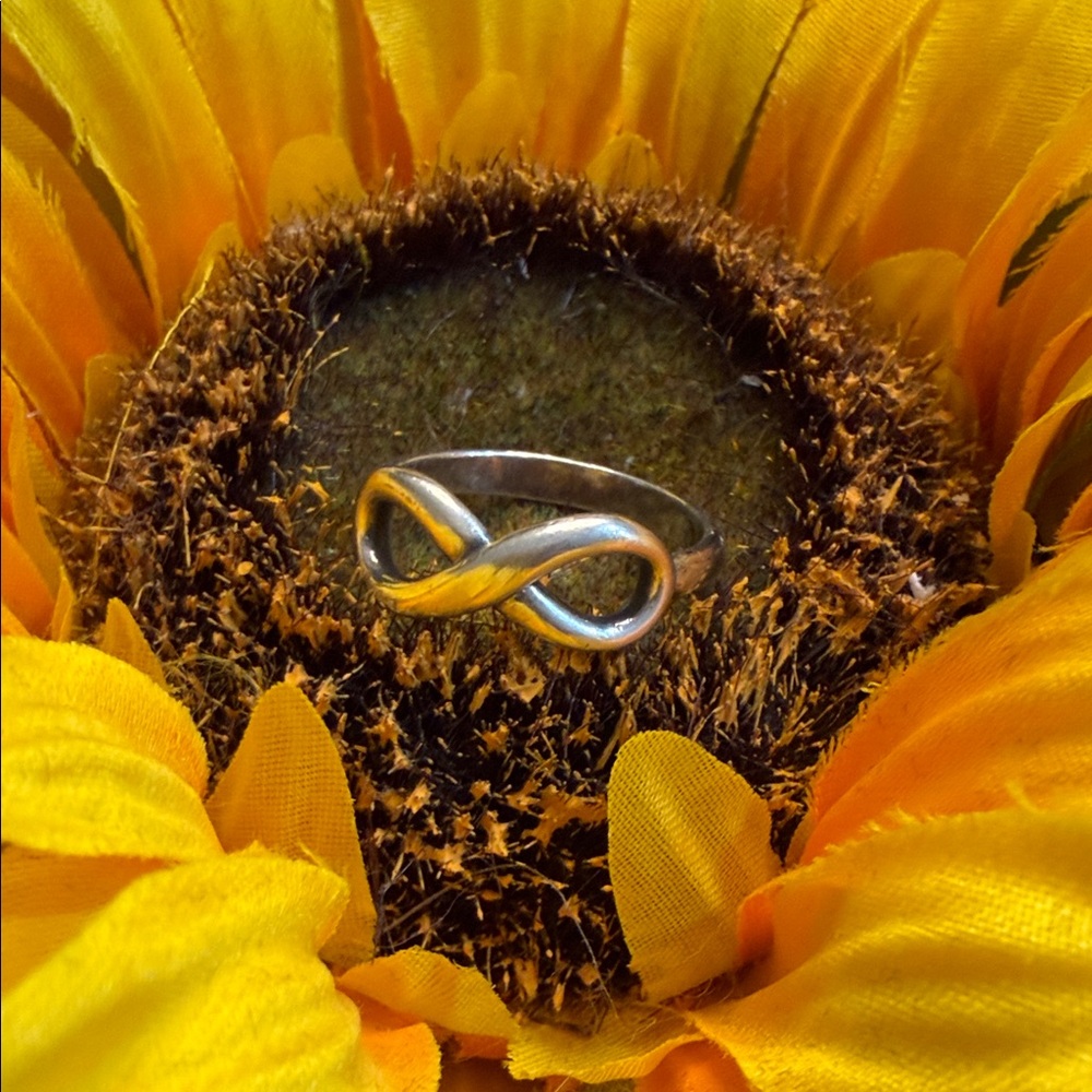 James Avery Infinity Ring - image 1